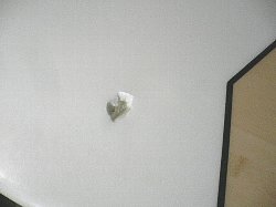 �G�|�L�V Firewire 18_1